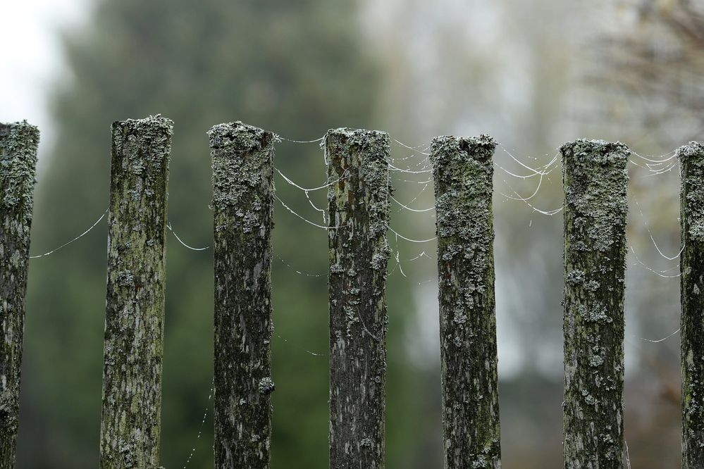 Photograph by Вера Сдвижкова