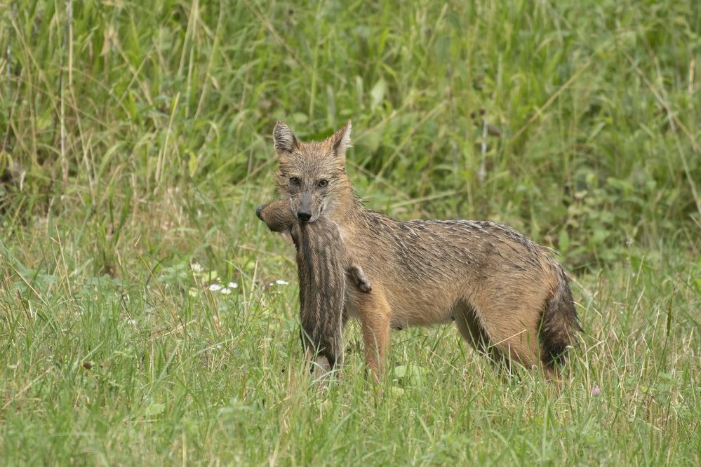 Photograph by Predrag Kostin