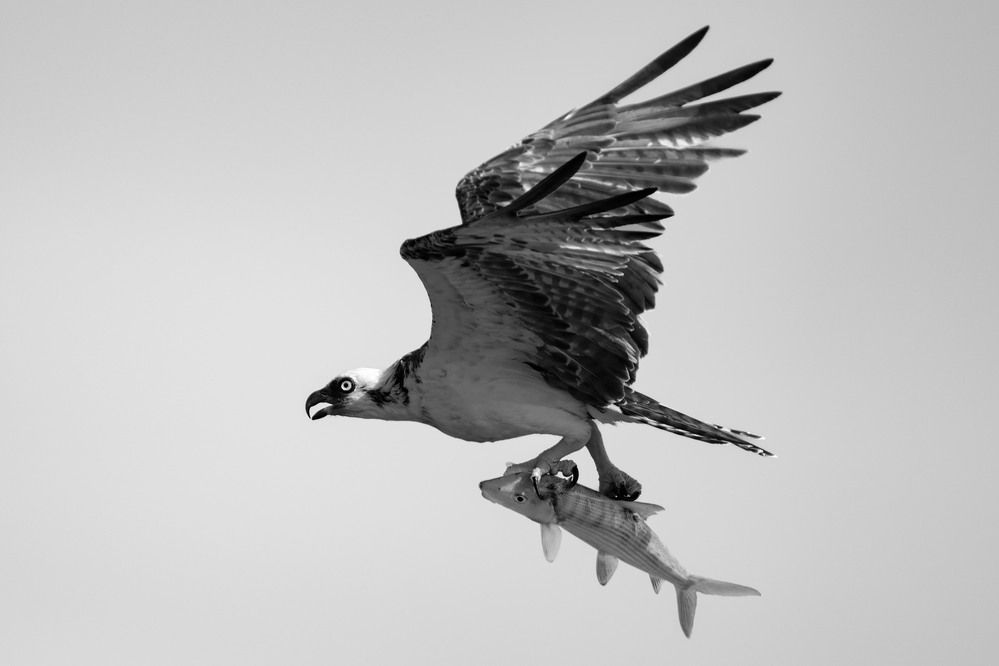 Photograph by Eliud Gil Samaniego