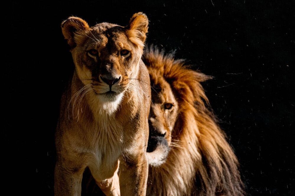 Photograph by Eliud Gil Samaniego