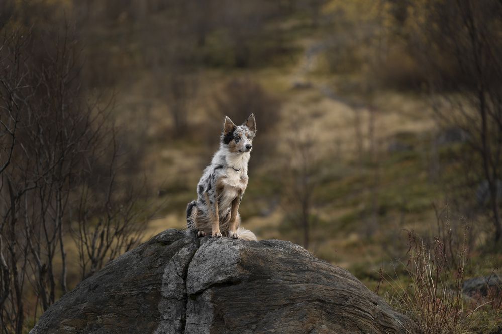 Осень Заполярья