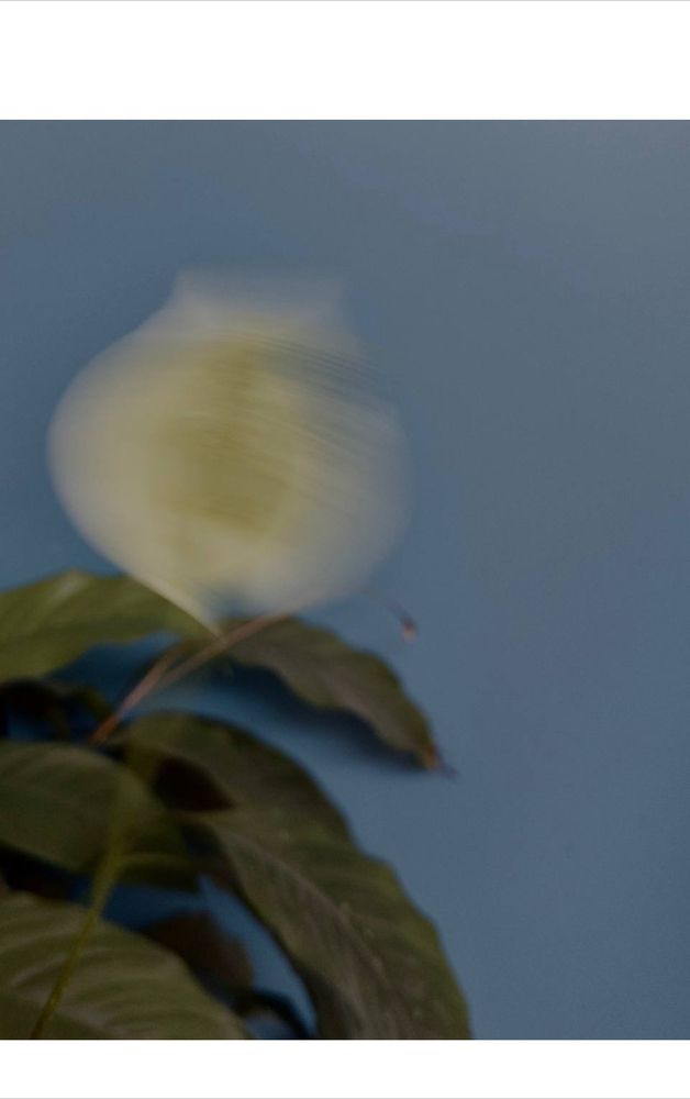 Photograph by Белла