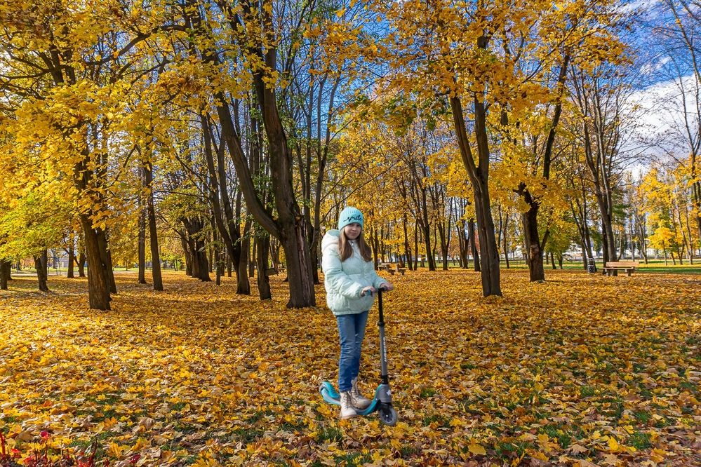Фотография автора Николай Бологов