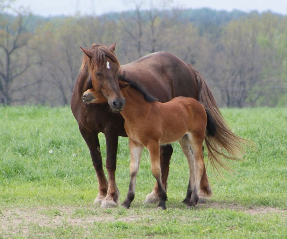 Photograph by виктор ястребов