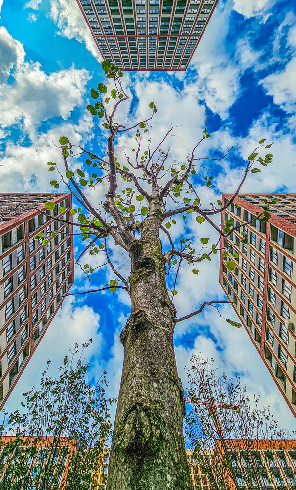 Photograph by Сергей Кесаев