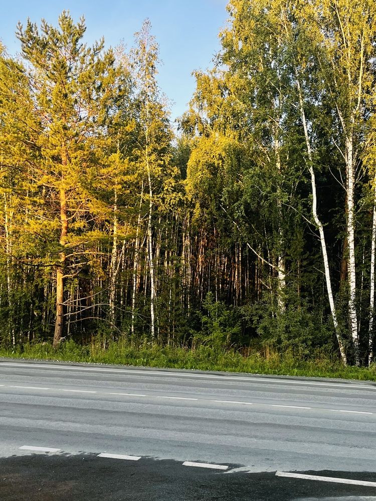 Photograph by Ольга Беспалько