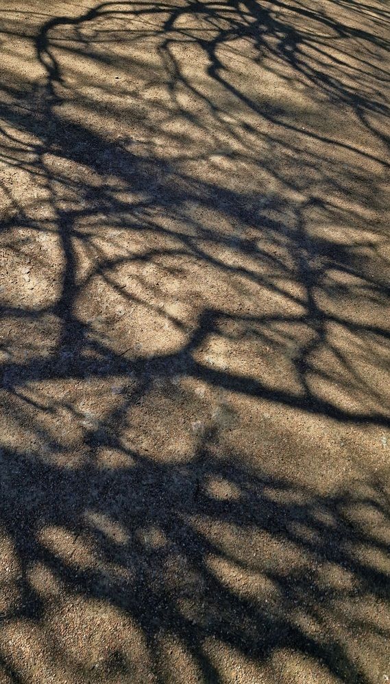 Photograph by Екатерина