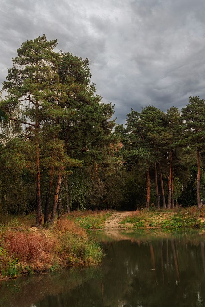 Photograph by Михаил Мак