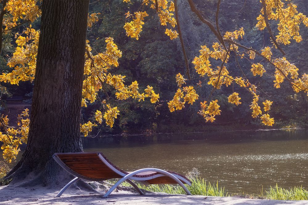 Photograph by Михаил Мак