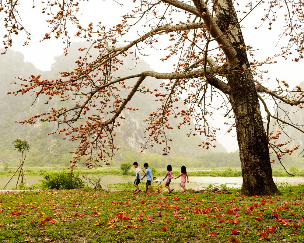 Фотография автора QUAN NGUYEN HUNG