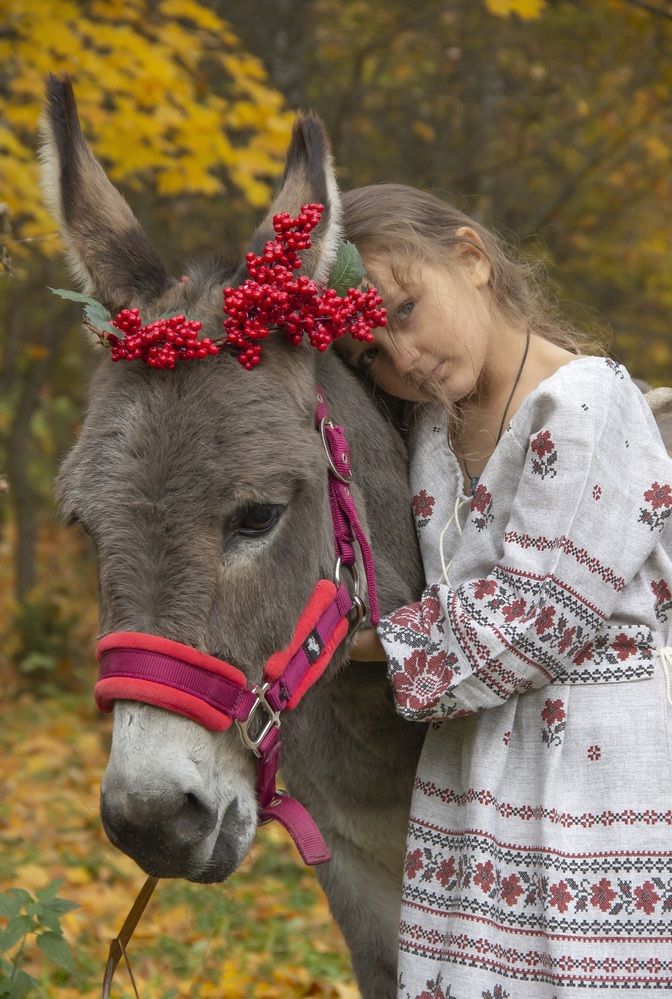 Photograph by Екатерина