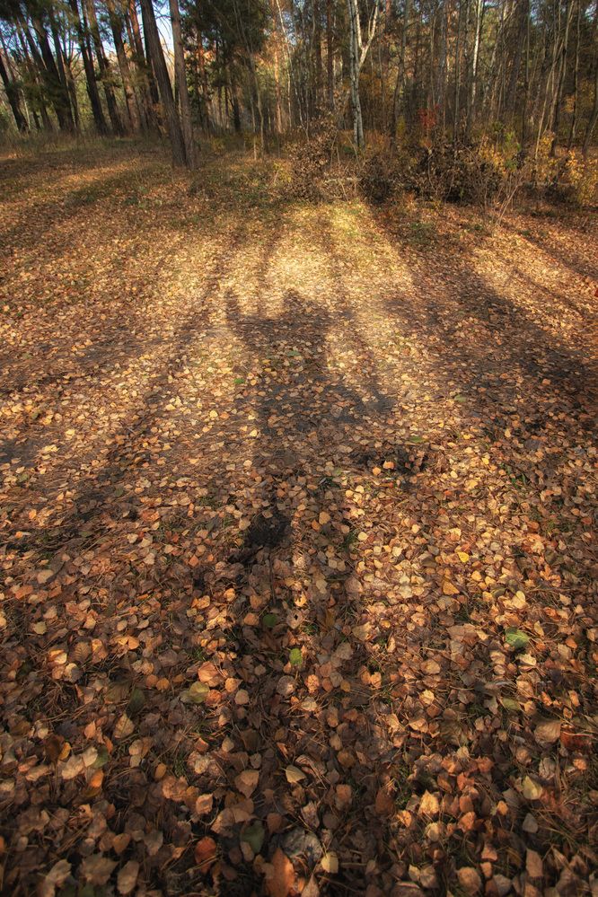 Photograph by Lapin Vitaly