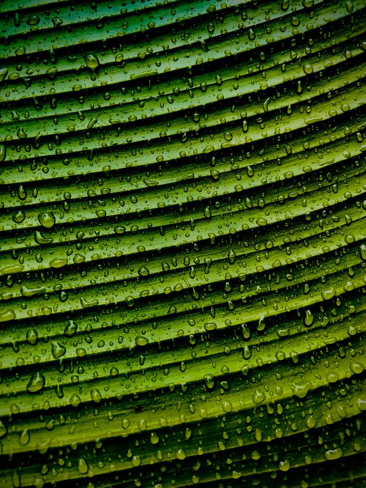 Photograph by Trivet Antony