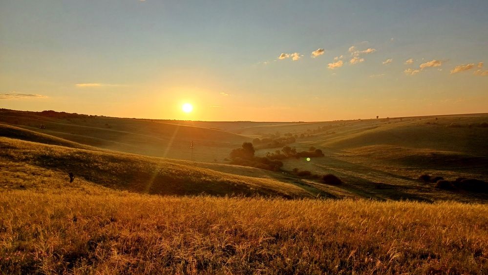 Photo #12733176