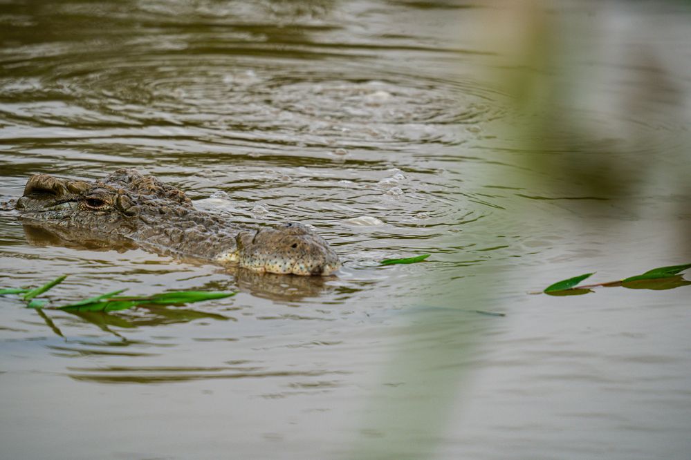 Photograph by Trivet Antony