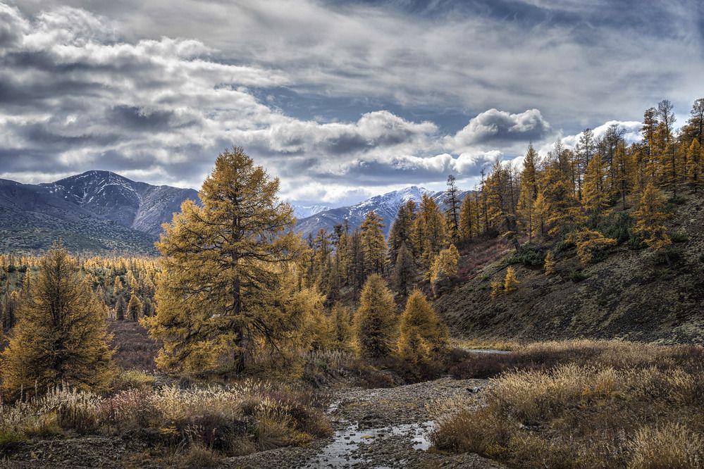 Photograph by Светлана Гореликова