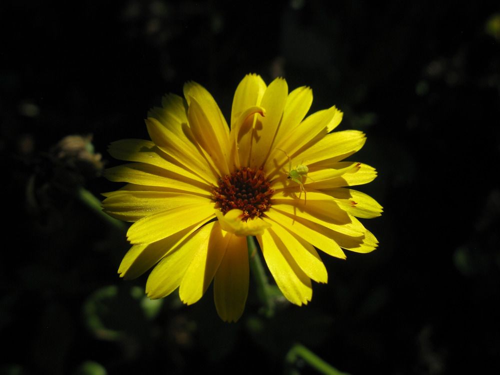 Photograph by Ильнара Камалетдинова