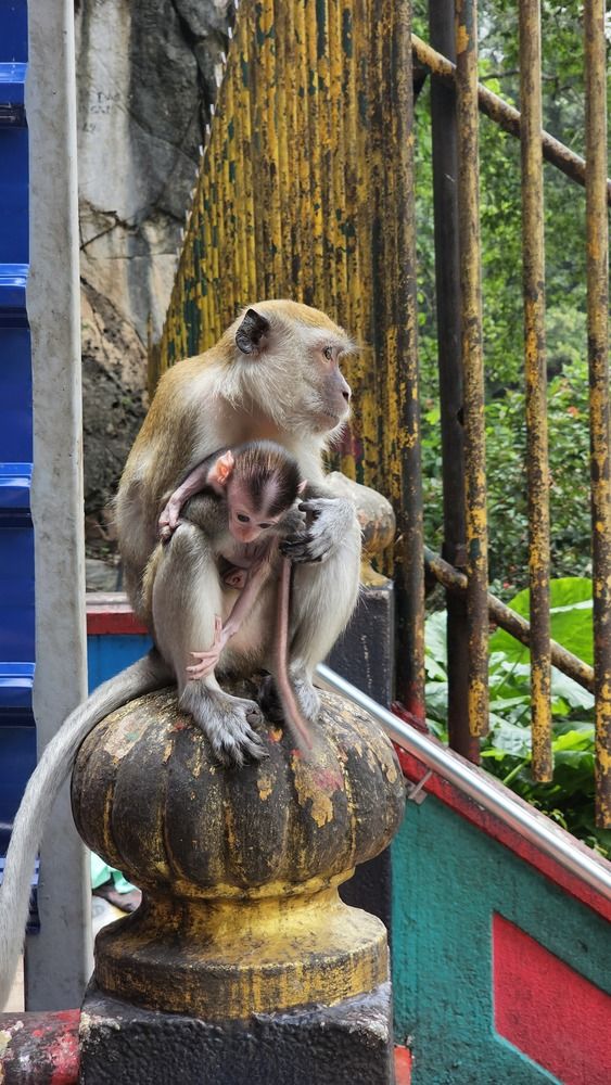 Photograph by Вадим Богатиков