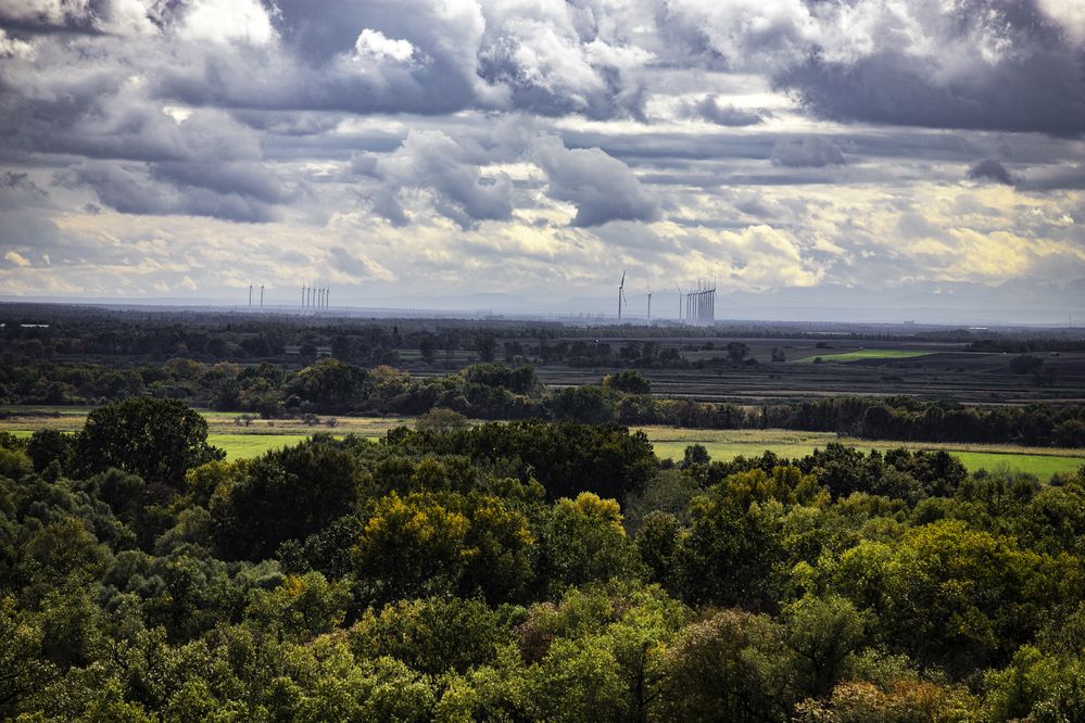 Фотография автора Михаил Лупина