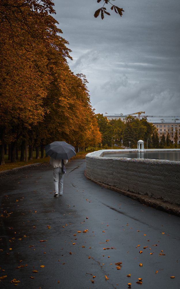 Фотография автора Геннадий Ломеко