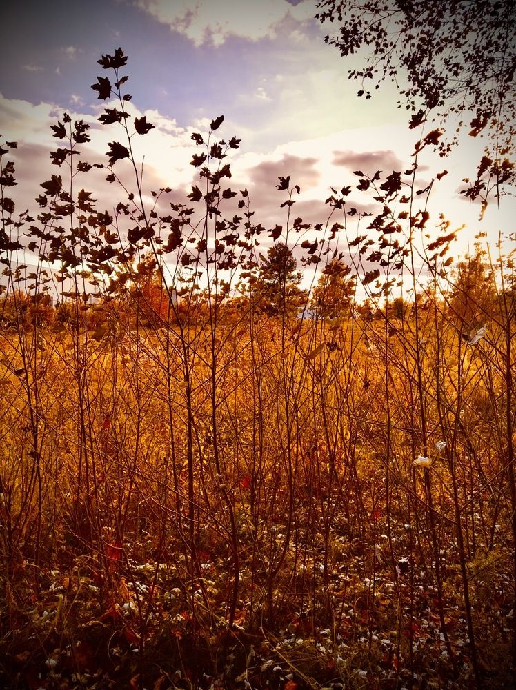 Photograph by Anna Krivorucko