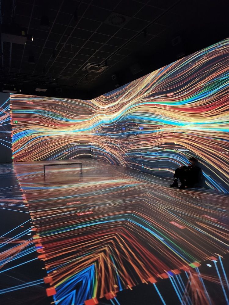 Photograph by Simona Synkova