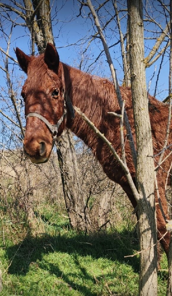 Photograph by Кирилл Мэйер
