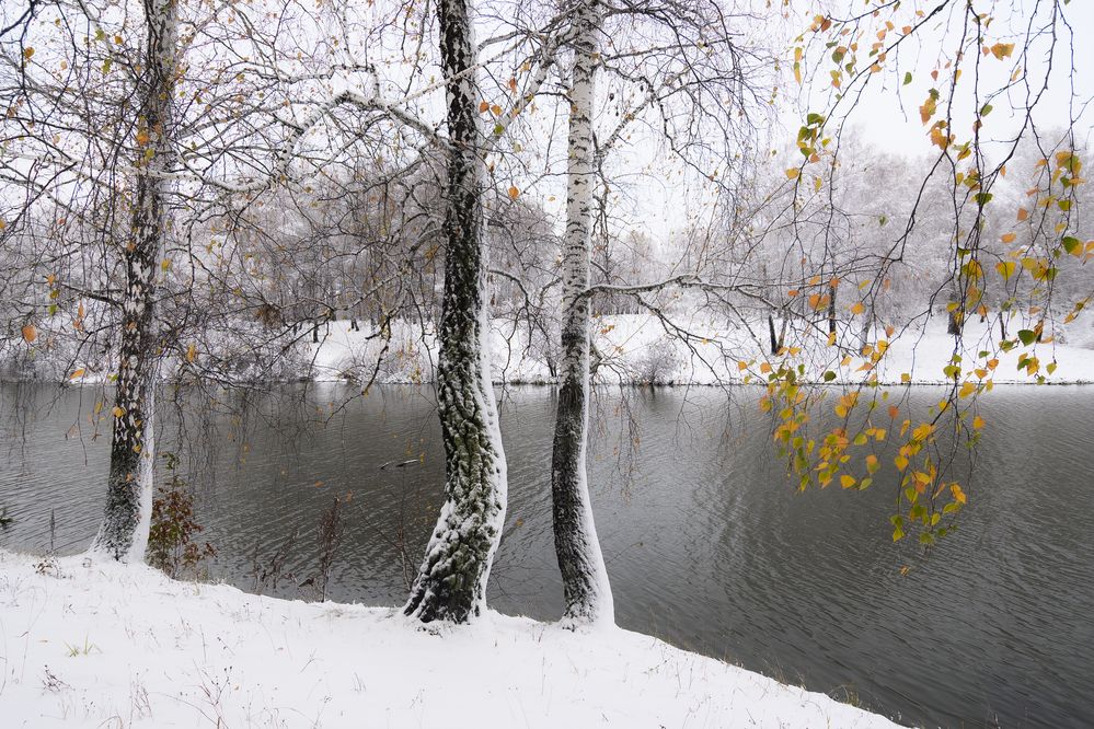 Фотография автора Maxim Bondar