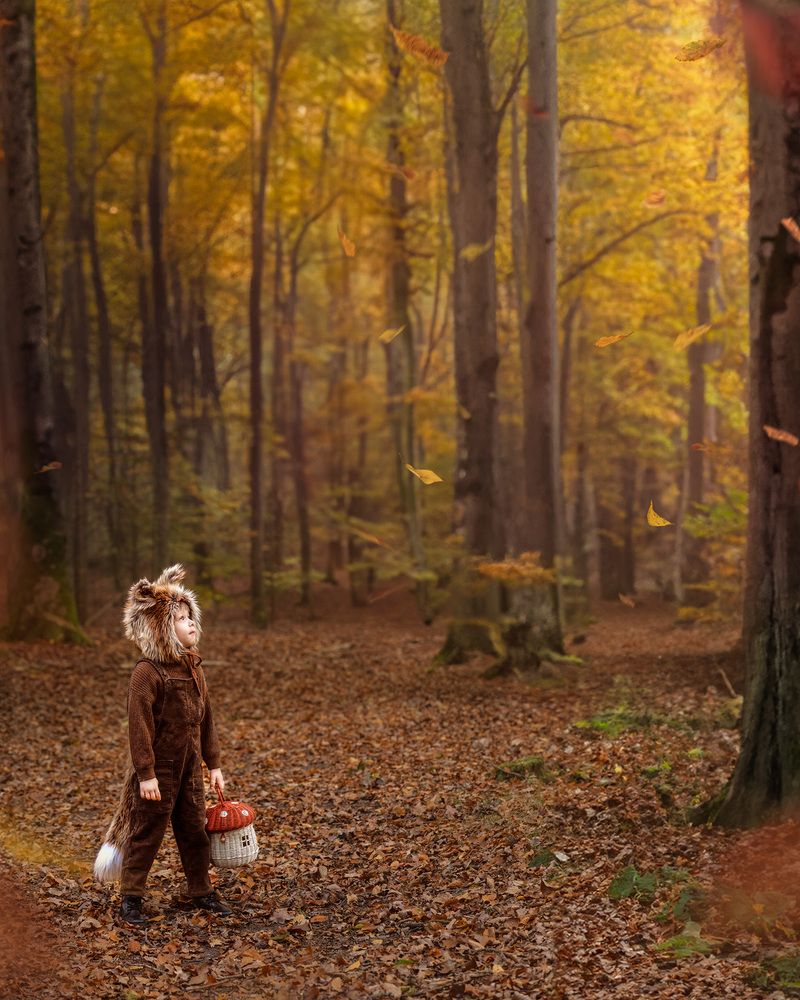 Photograph by Adriana smeu