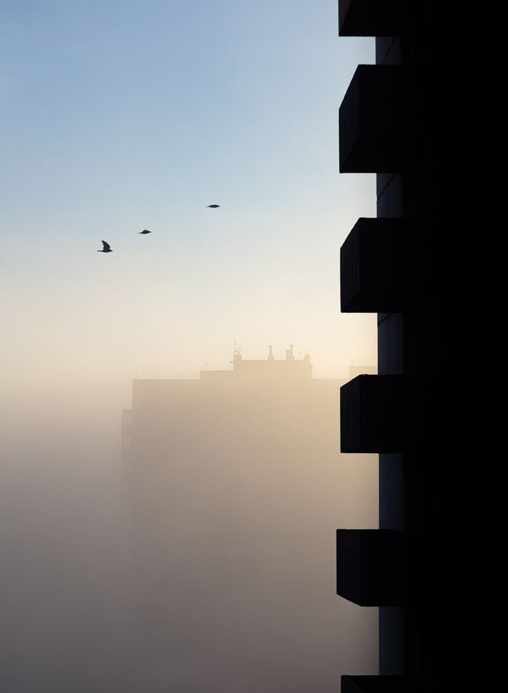 Silent Awakening