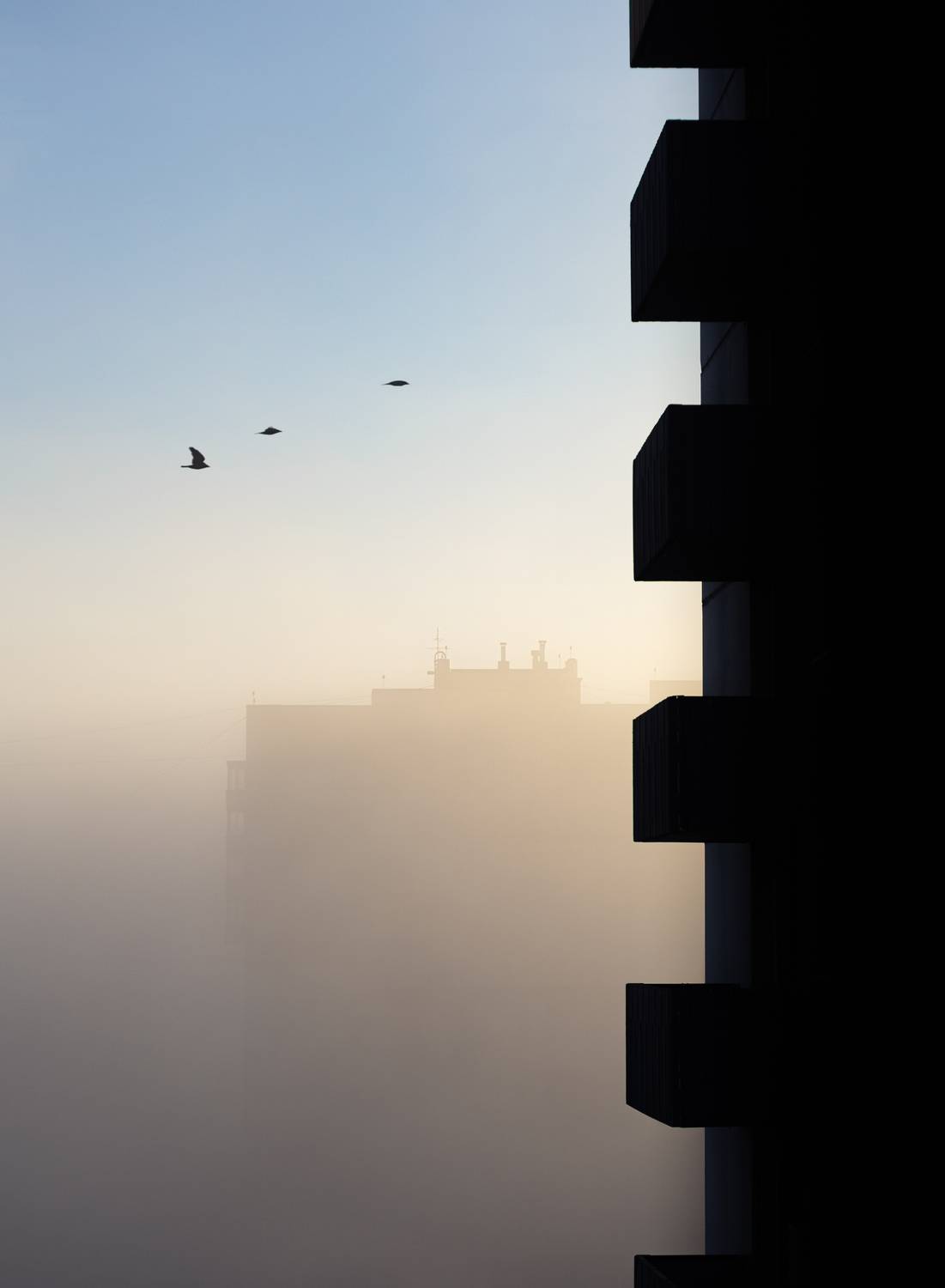Silent Awakening