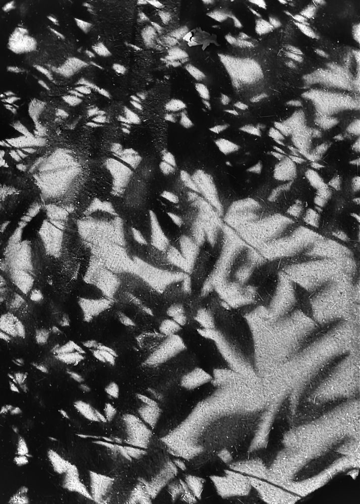 Photograph by Oxana Petlina