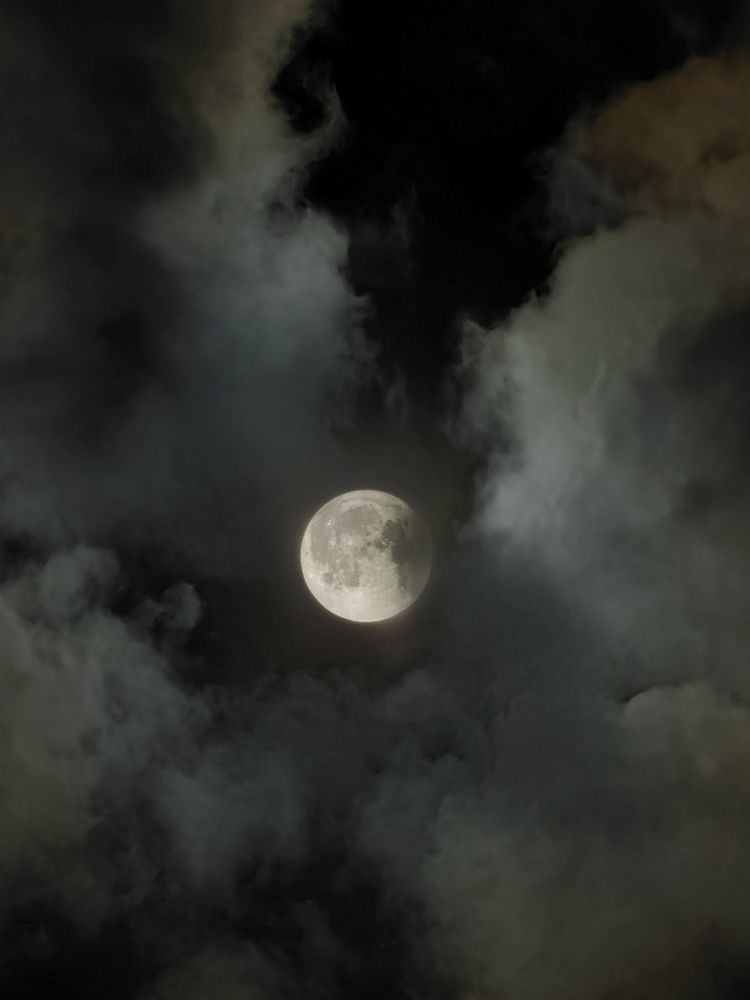 Photograph by Ярославна