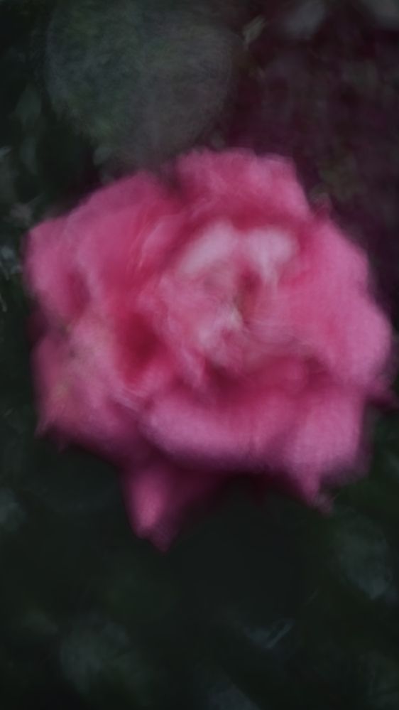 Photograph by Oxana Petlina