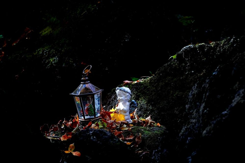 Осенняя сказка.