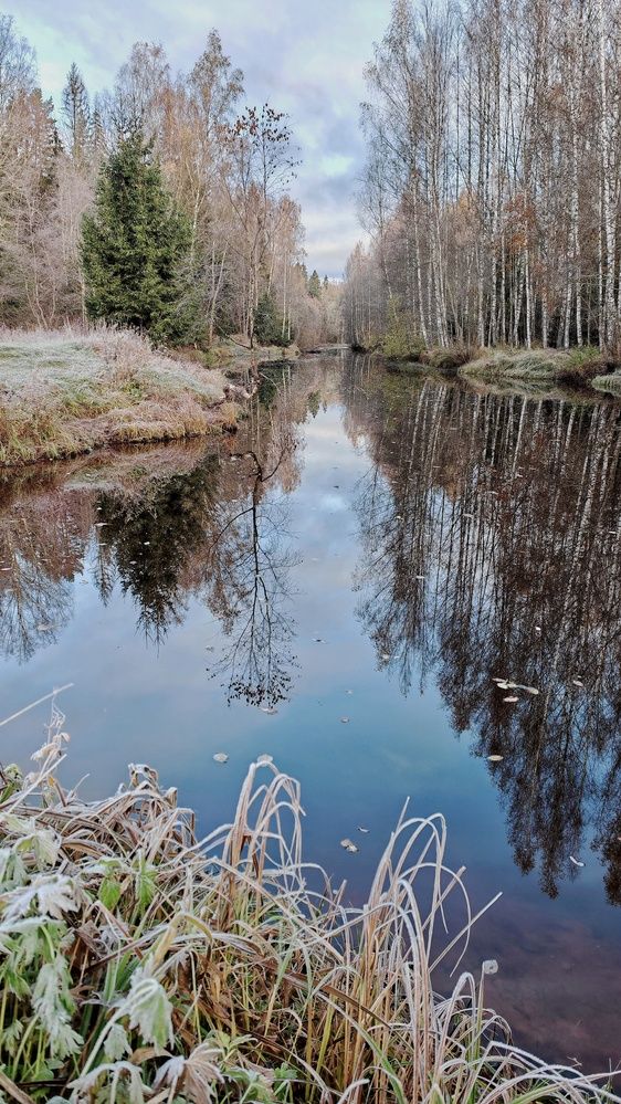 Первые заморозки.