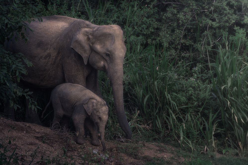 Photograph by Domenico Marrano