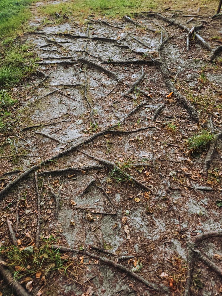 Photograph by Татьяна Небрат