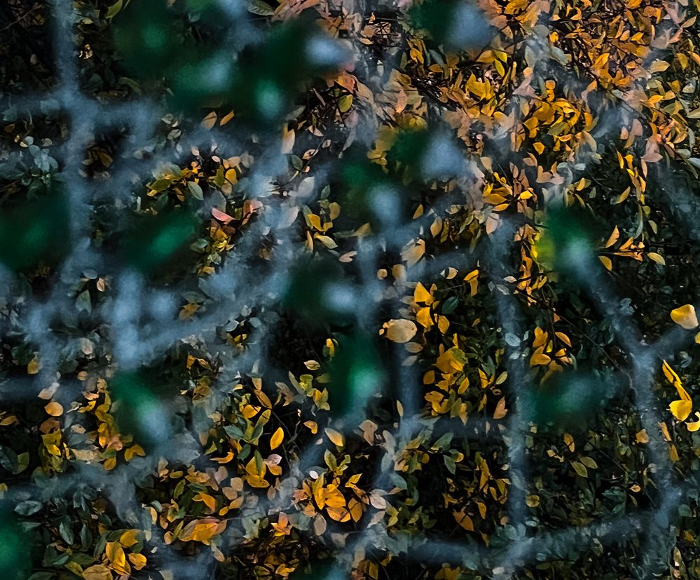 Фотография автора Яна Сидорова