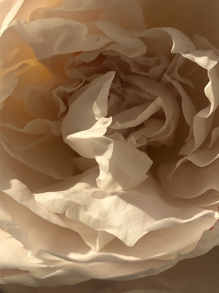 Photograph by Valentina Jegorova