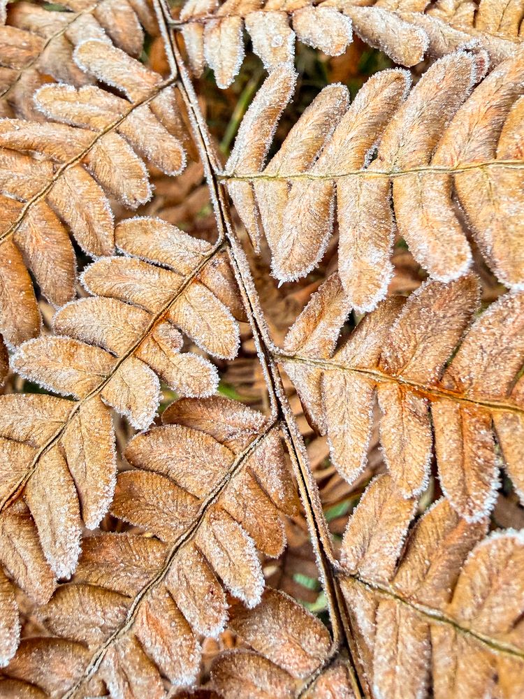 Photograph by Anna Sindikayeva