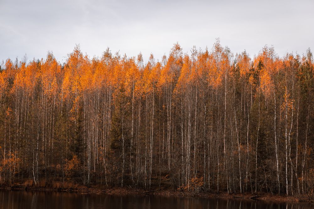 Photograph by Николай Рымар