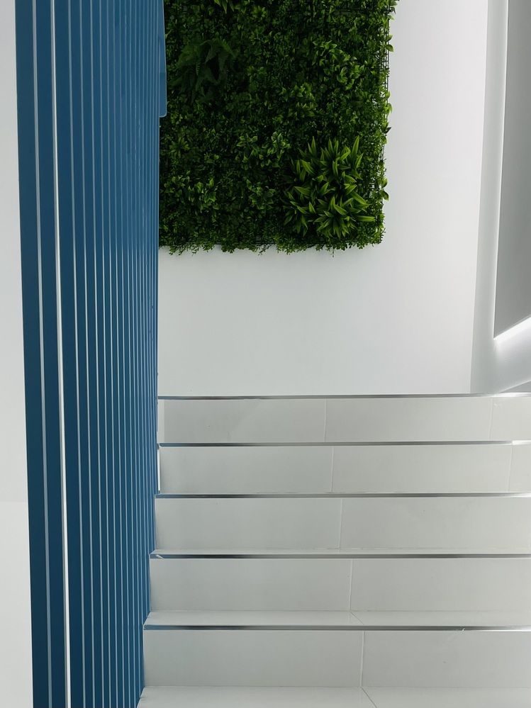 Photograph by Misha Khazov