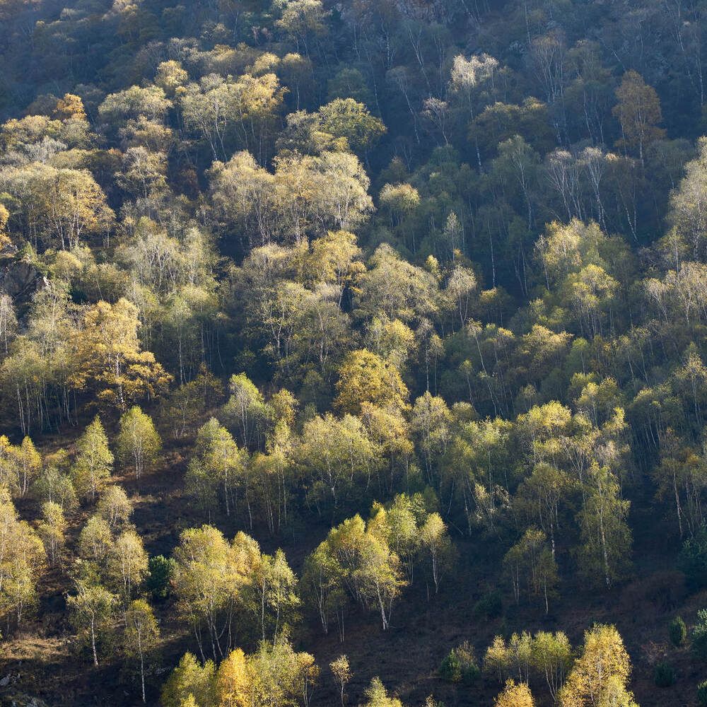 Фотография автора Dana Korolkova