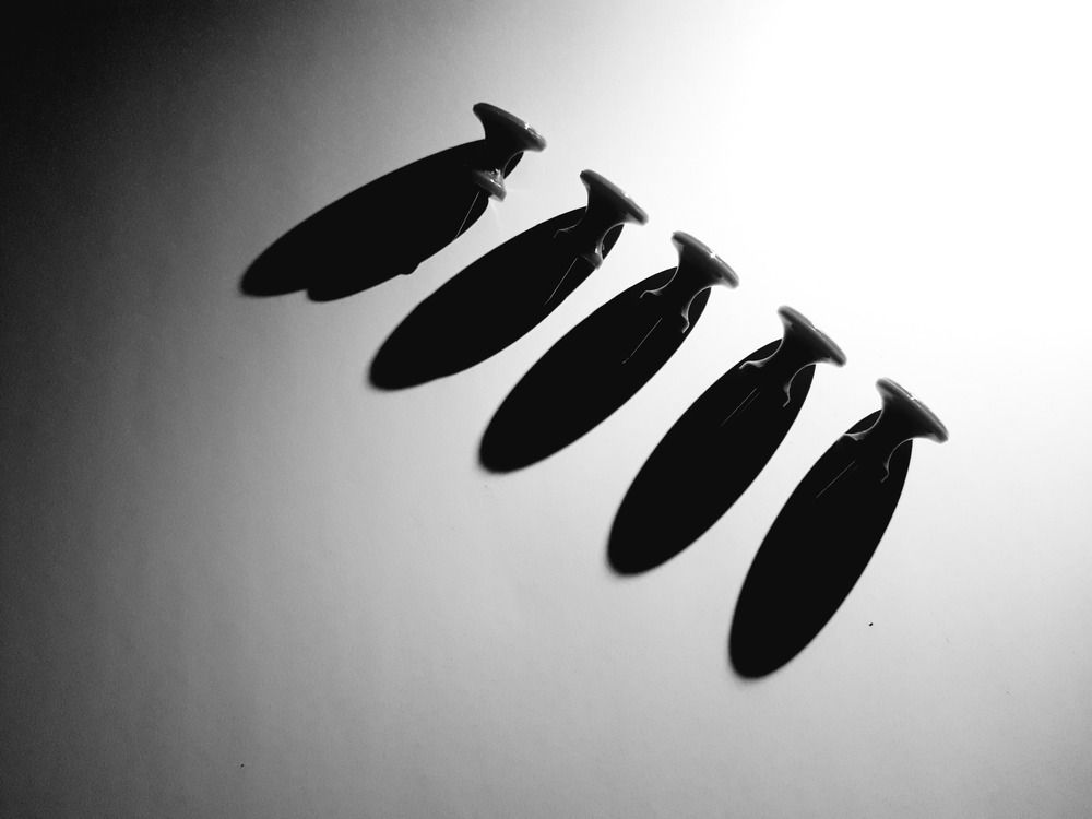 Большие иглы и их тени. Устрица.