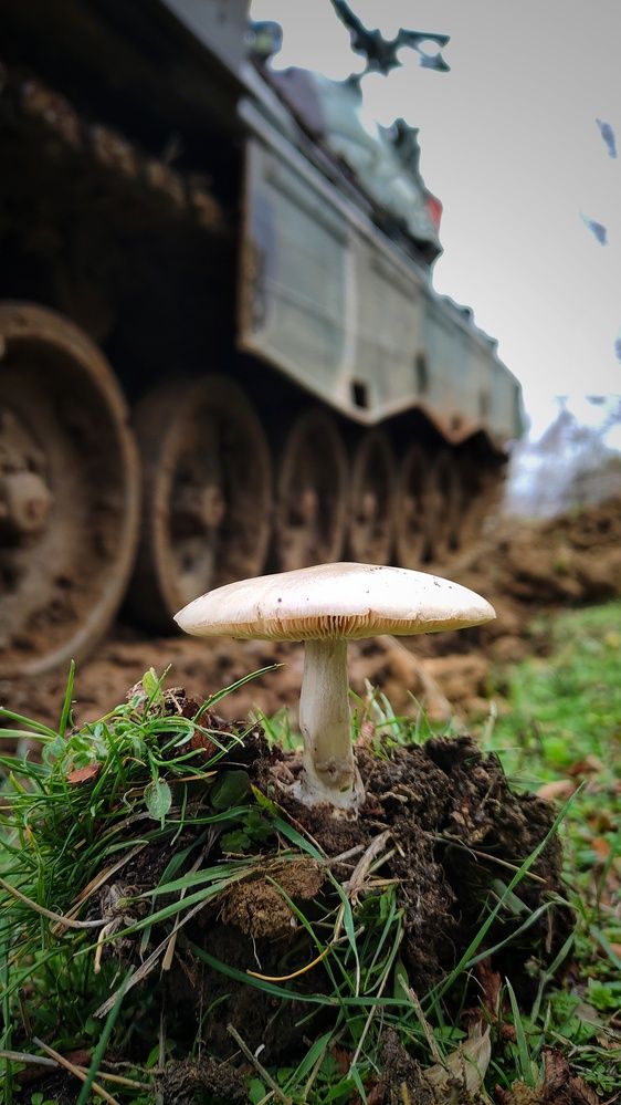 Фотография автора axilleas kampouris