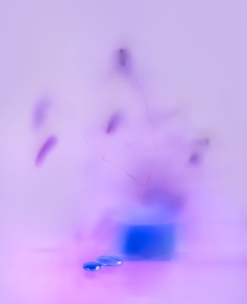 Photograph by Margarita