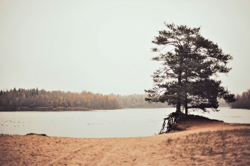 Фотография автора Ирина Дроздова