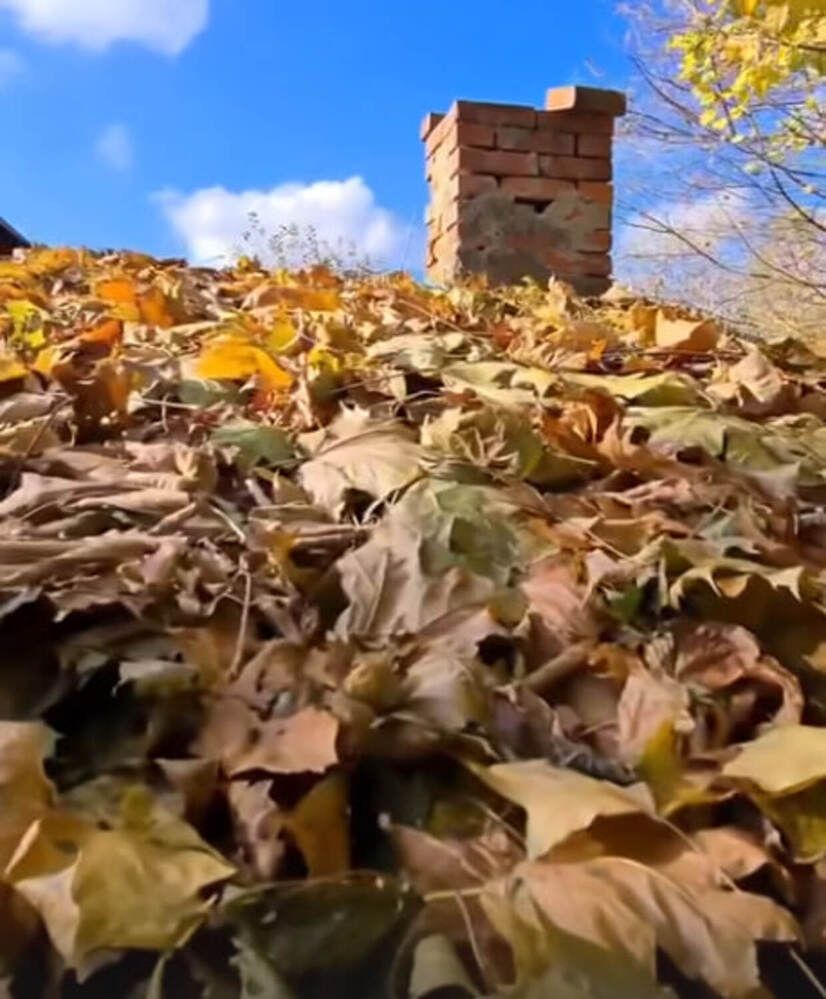 Осень на крыше