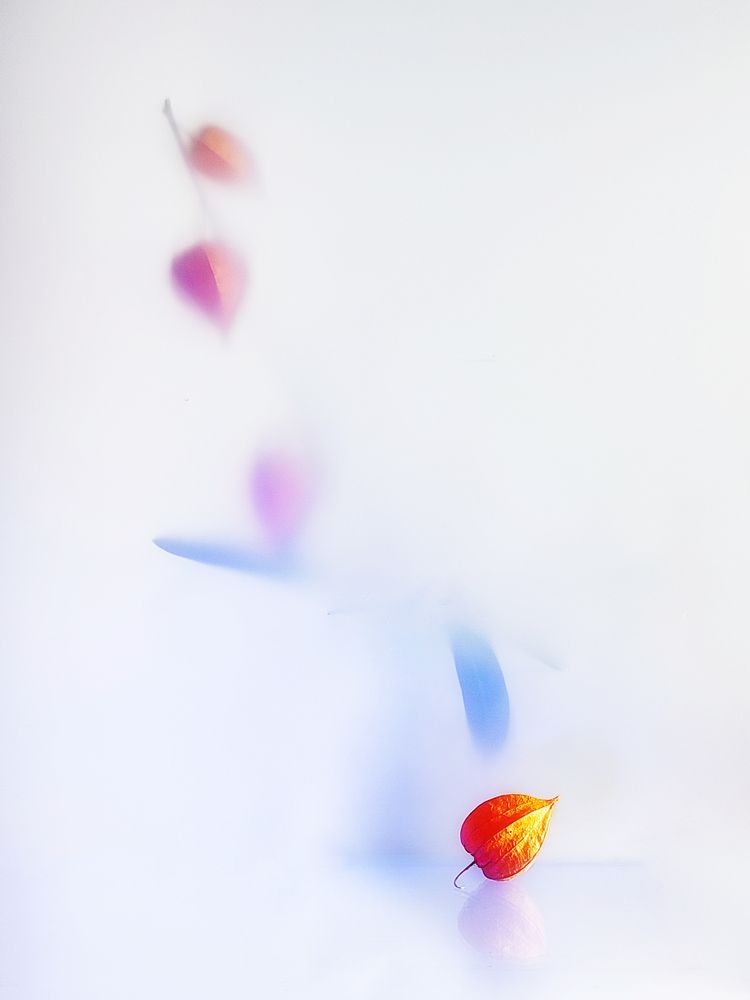 Photograph by Margarita
